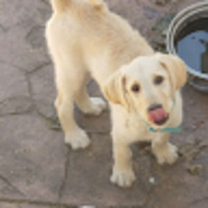 Meet your Posher, Cindy